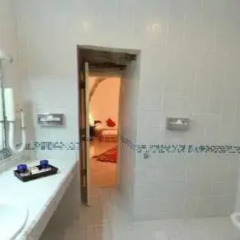Отель Beit Zaman Hotel & Resort Иордания, Вади-Муса - отзывы, цены и фото номеров - забронировать отель Beit Zaman Hotel & Resort онлайн ванная