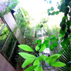Отель Riad Dar Zelda Марокко, Марракеш - отзывы, цены и фото номеров - забронировать отель Riad Dar Zelda онлайн фото 9