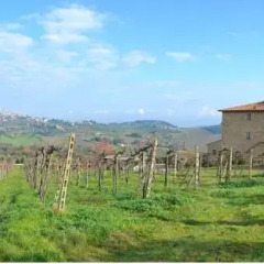 Отель Agriturismo Il Casolare di Bucciano Farmhouse Италия, Сан-Джиминьяно - отзывы, цены и фото номеров - забронировать отель Agriturismo Il Casolare di Bucciano Farmhouse онлайн фото 4