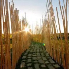 Отель Rio do Prado балкон