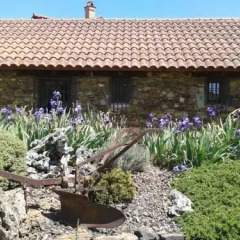 Отель Casas Rurales La Forqueta Y El Fontanal фото 3