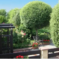 Отель Villa Ambra