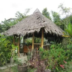 Отель Ashram Kanabnam Resort Таиланд, Краби - отзывы, цены и фото номеров - забронировать отель Ashram Kanabnam Resort онлайн фото 12