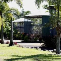 Отель Daintree Wild Zoo & Bed and Breakfast фото 3