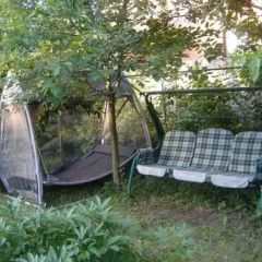 Abrikos Hostel
