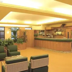 Отель Dreamotel Павия гостиничный бар