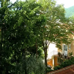 Отель Villa Seka Будва