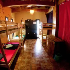 Los Amigos Hostel фото 2