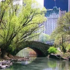 Отель Park 79 Hotel США, Нью-Йорк - отзывы, цены и фото номеров - забронировать отель Park 79 Hotel онлайн приотельная территория