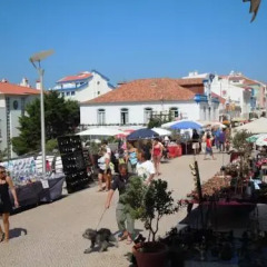 Отель Ericeira Villas городской автобус