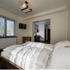 Отель Apartamenty Grunwaldzka Закопане комната для гостей фото 4