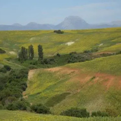 Отель Cortijo Barranco фото 8