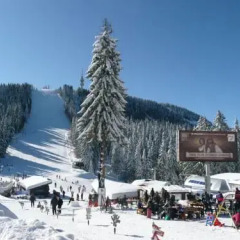 Отель Aparthotel Pine Hills Pamporovo спортивное сооружение