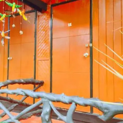 Отель Baan Mai Resort Таиланд, Краби - отзывы, цены и фото номеров - забронировать отель Baan Mai Resort онлайн интерьер отеля