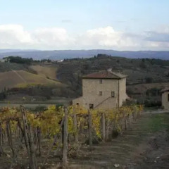 Отель Agriturismo Il Casolare di Bucciano Farmhouse Италия, Сан-Джиминьяно - отзывы, цены и фото номеров - забронировать отель Agriturismo Il Casolare di Bucciano Farmhouse онлайн фото 10