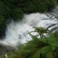 Hotel Silver Falls фото 4