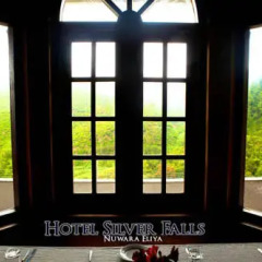 Hotel Silver Falls развлечения