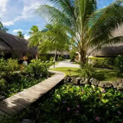 Отель Maitai Rangiroa фото 5