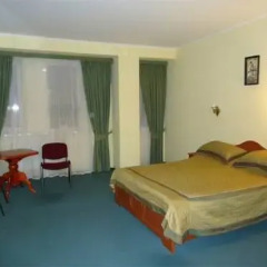 Alyonka Hotel комната для гостей