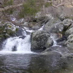 Hotel Los Perales фото 3