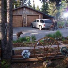 Cabins On The Bluff In Kenai Peninsula United States Of America