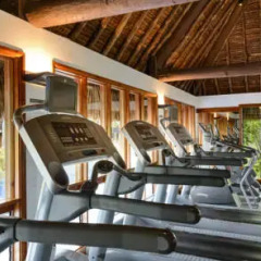Отель The Westin Denarau Island Resort & Spa, Fiji Фиджи, Вити-Леву - отзывы, цены и фото номеров - забронировать отель The Westin Denarau Island Resort & Spa, Fiji онлайн фитнесс-зал фото 4
