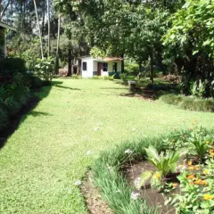 Отель Airport Hotel Costa Rica Коста-Рика, Алахуэла - отзывы, цены и фото номеров - забронировать отель Airport Hotel Costa Rica онлайн фото 2
