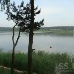 Отель Cottage Asaris