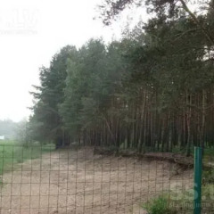 Отель Cottage Asaris парковка