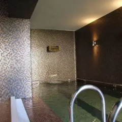 Turim Estrela do Vau Hotel сауна