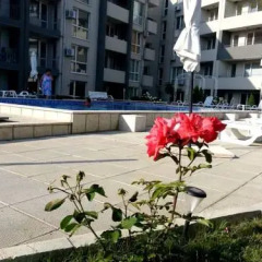 Апартаменты Butterfly - Menada Свети Влас фото 12