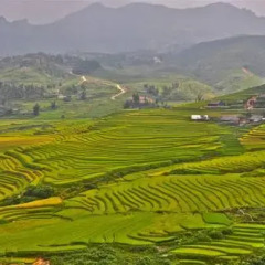 Отель H'mong Mountain Retreat фото 10
