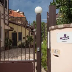 Отель Flower Inn B&B городской автобус