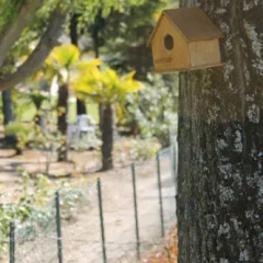 Отель Quinta Da Timpeira фото 10