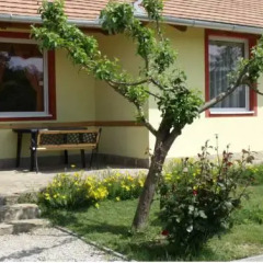 Ambient Hostel
