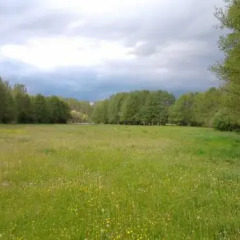 Отель Casas Rurales La Forqueta Y El Fontanal