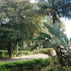 Отель Airport Hotel Costa Rica Коста-Рика, Алахуэла - отзывы, цены и фото номеров - забронировать отель Airport Hotel Costa Rica онлайн фото 7