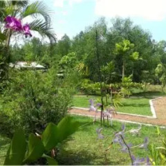 Отель Mangrove Villa Шри-Ланка, Бентота - отзывы, цены и фото номеров - забронировать отель Mangrove Villa онлайн фото 3