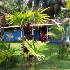Отель Mangrove Villa Шри-Ланка, Бентота - отзывы, цены и фото номеров - забронировать отель Mangrove Villa онлайн фото 7