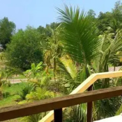 Отель Mangrove Villa Шри-Ланка, Бентота - отзывы, цены и фото номеров - забронировать отель Mangrove Villa онлайн балкон