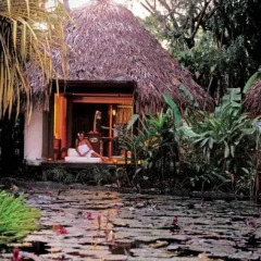 Отель The Westin Denarau Island Resort & Spa, Fiji Фиджи, Вити-Леву - отзывы, цены и фото номеров - забронировать отель The Westin Denarau Island Resort & Spa, Fiji онлайн фото 2