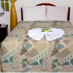 Отель Seastar Inn в номере фото 2