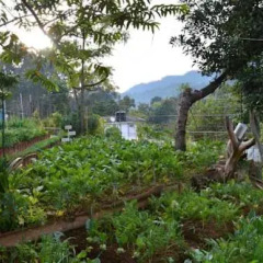 Bandarawela Hotel фото 11