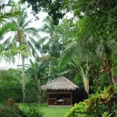 Отель Boracay Hills Hotel Филиппины, остров Боракай - отзывы, цены и фото номеров - забронировать отель Boracay Hills Hotel онлайн фото 2