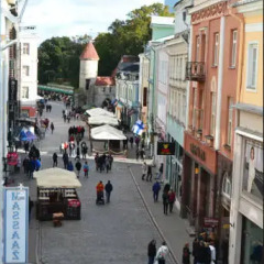 Отель Viru Backpackers Таллин фото 4