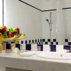 Отель Novotel Cannes Montfleury Франция, Канны - отзывы, цены и фото номеров - забронировать отель Novotel Cannes Montfleury онлайн ванная фото 2
