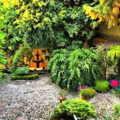Отель La Casita del Patio Verde Мексика, Мехико - отзывы, цены и фото номеров - забронировать отель La Casita del Patio Verde онлайн фото 7