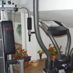 Отель Pri Ani Guest House фитнесс-зал фото 2
