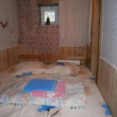 Abrikos Hostel детские мероприятия