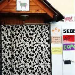 ZaZaZoo Hostel бассейн